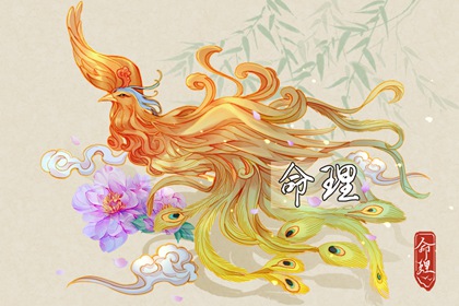 择吉黄历 开业择吉日 择吉皇历